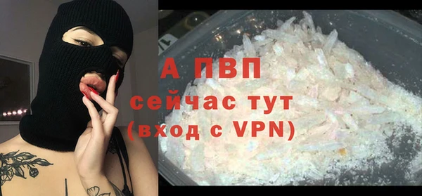 крисы Алексин