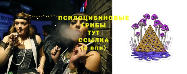 крисы Алексин