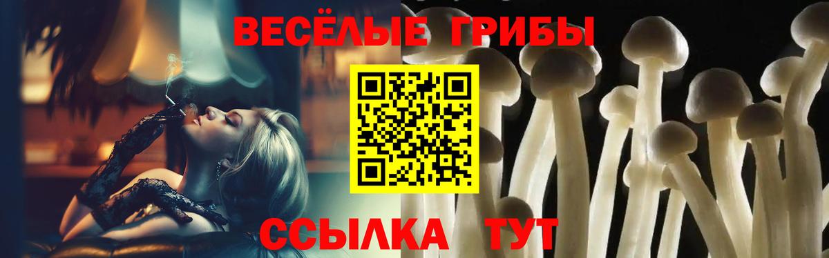 Аргун  сколько стоит  Вход с VPN  Галлюциногенные грибы MAGIC MUSHROOMS  Псилоцибиновые грибы прущие грибы 